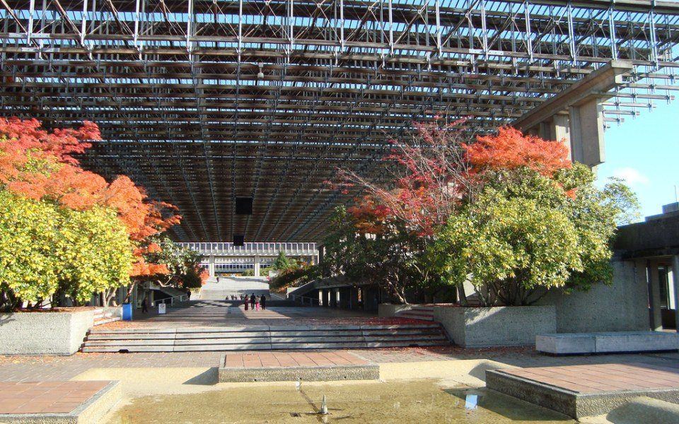 西门菲莎大学